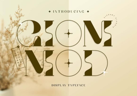 Giom Mod: A Stylish Serif for Web Design