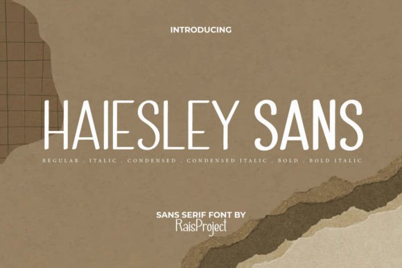 Haiesley Sans: A Font for Creative Campaigns